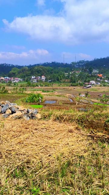 @Mas Wahyu