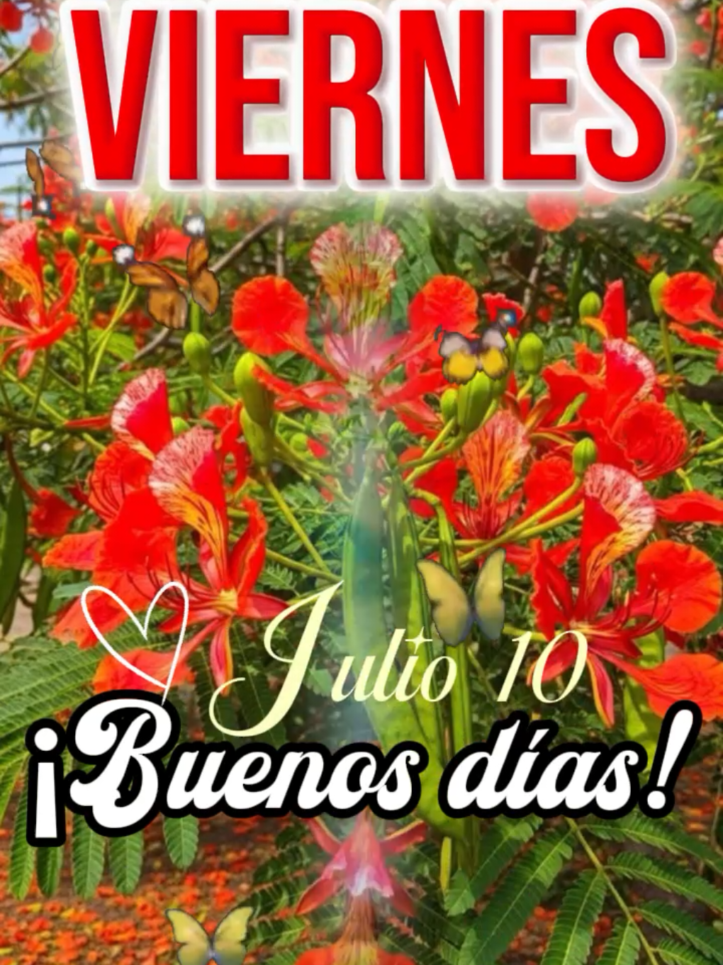 @Arely Mendoza Frases bonitas