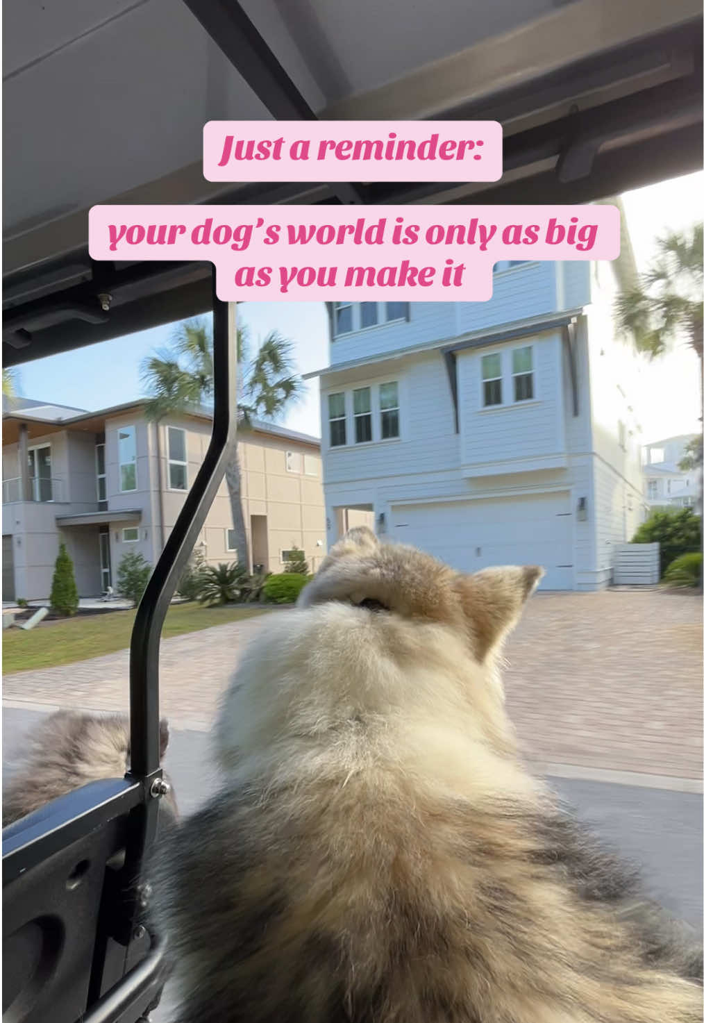 @Winnie & Wookie🐾