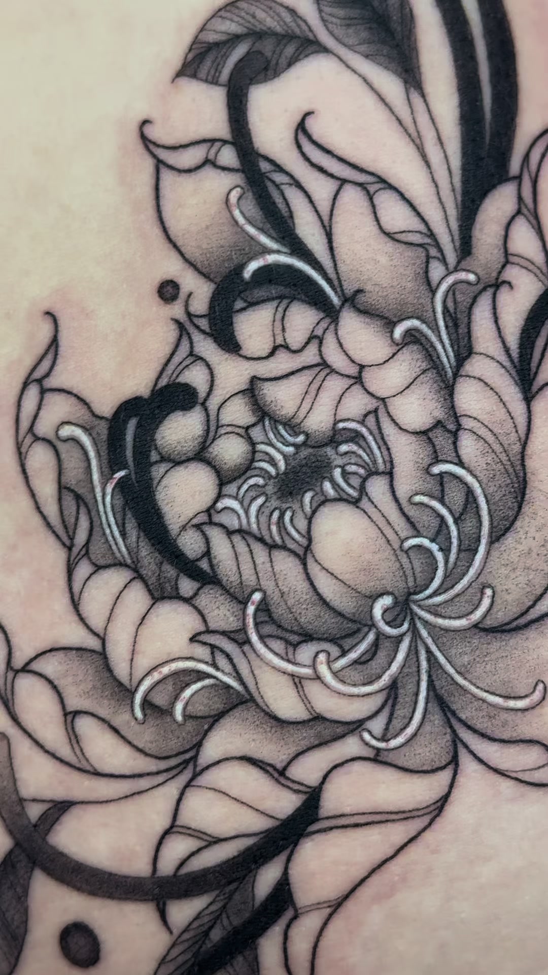 @Main Street Tattoo Perth
