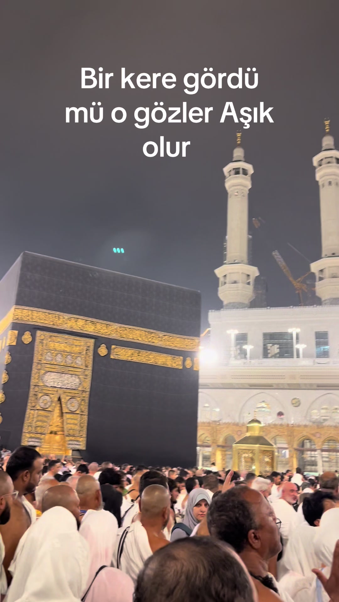 @hayalimm.