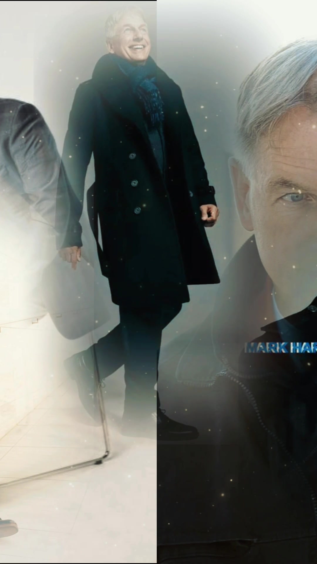 @Mark Harmon personal page