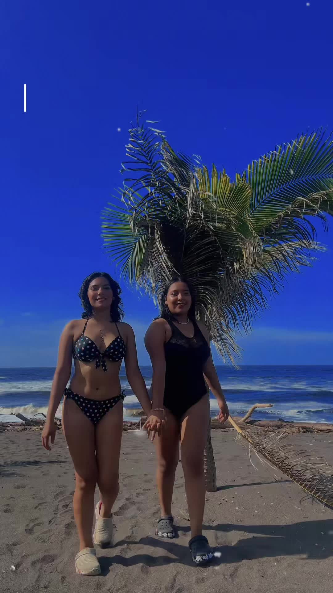 @Ale🦇
