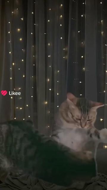 @😍