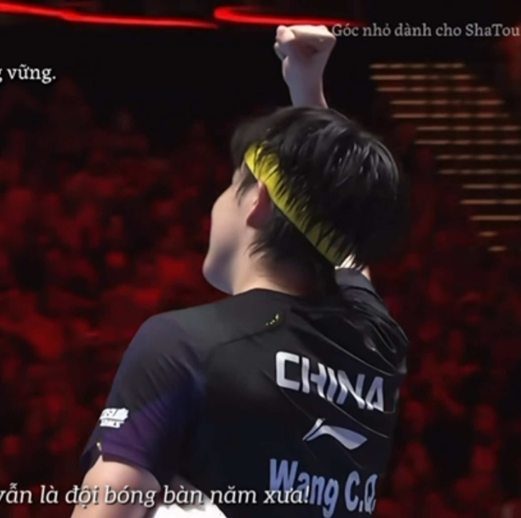 @Góc nhỏ dành cho ShaTou🦁🦈❤️