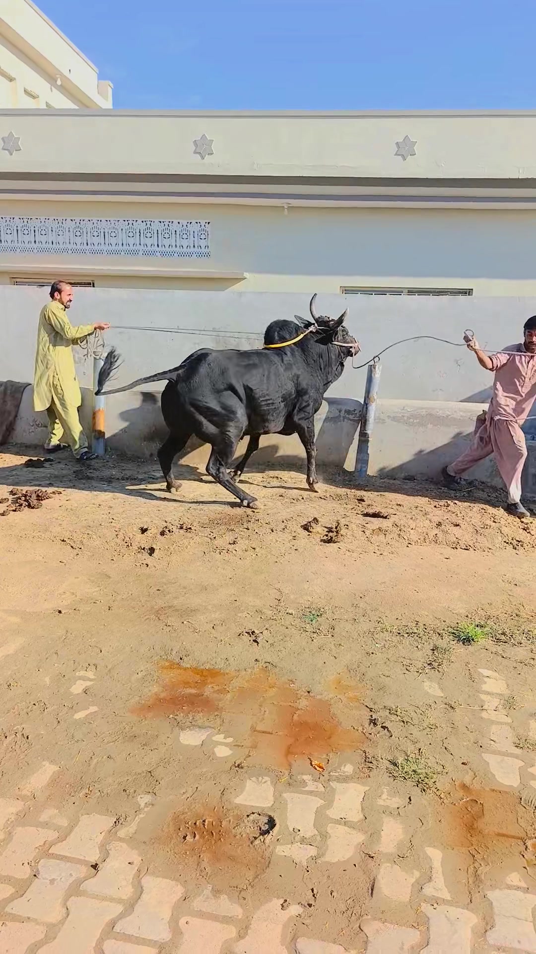 @Ch badar hussain