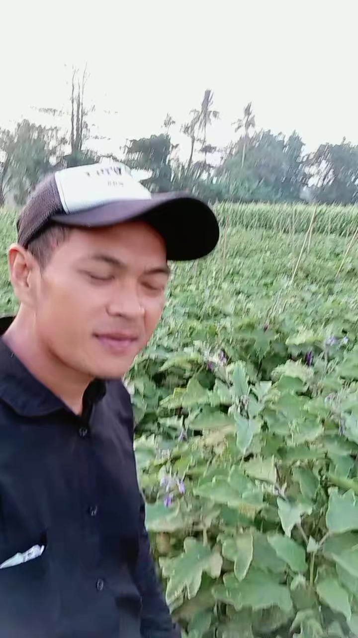 @bang manis 41🇮🇩