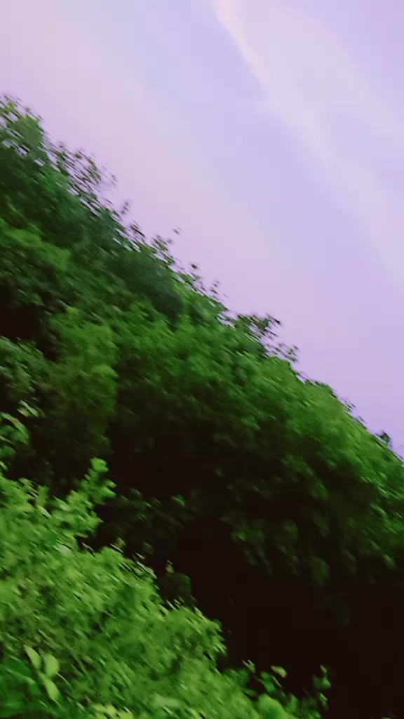 @🦋🌺প্রজাপতি🌺🦋