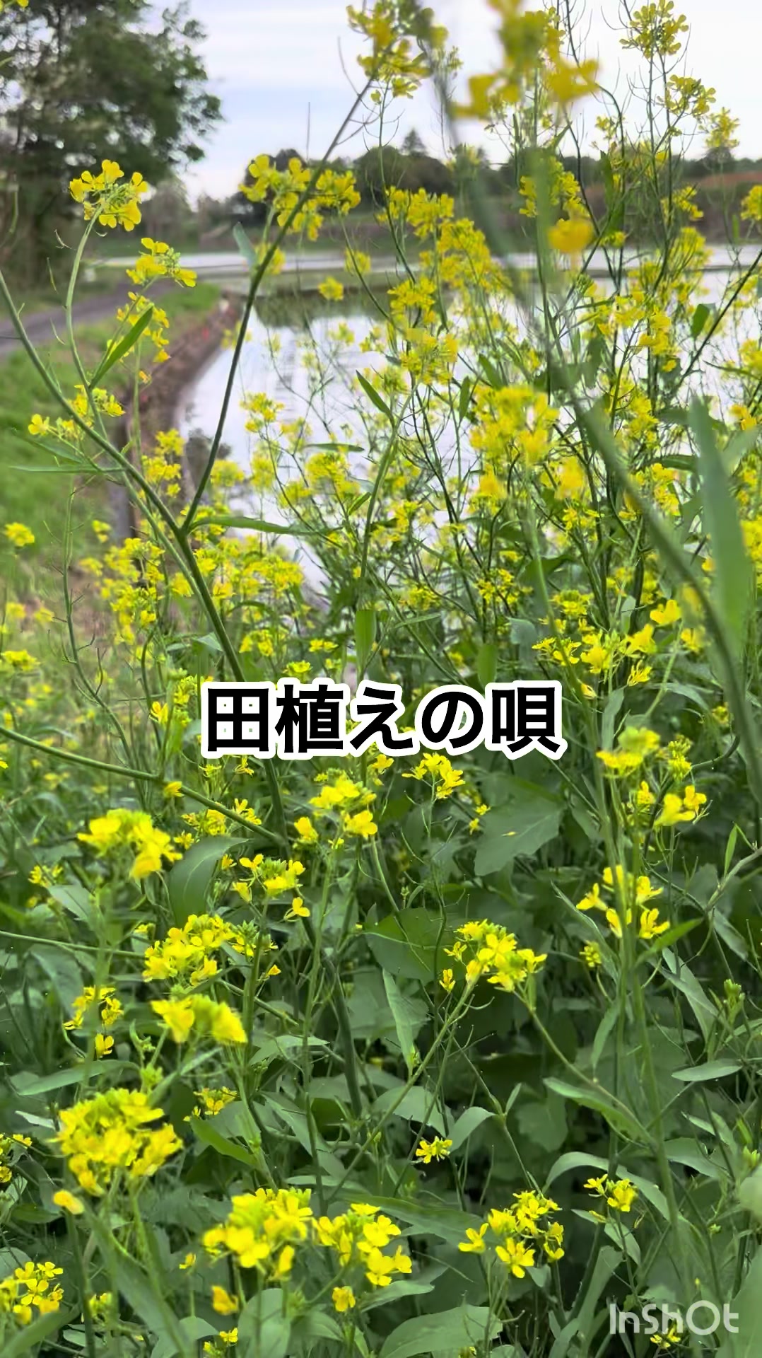 @ミウラ•リョーコ(イーツカ•リョーコ)