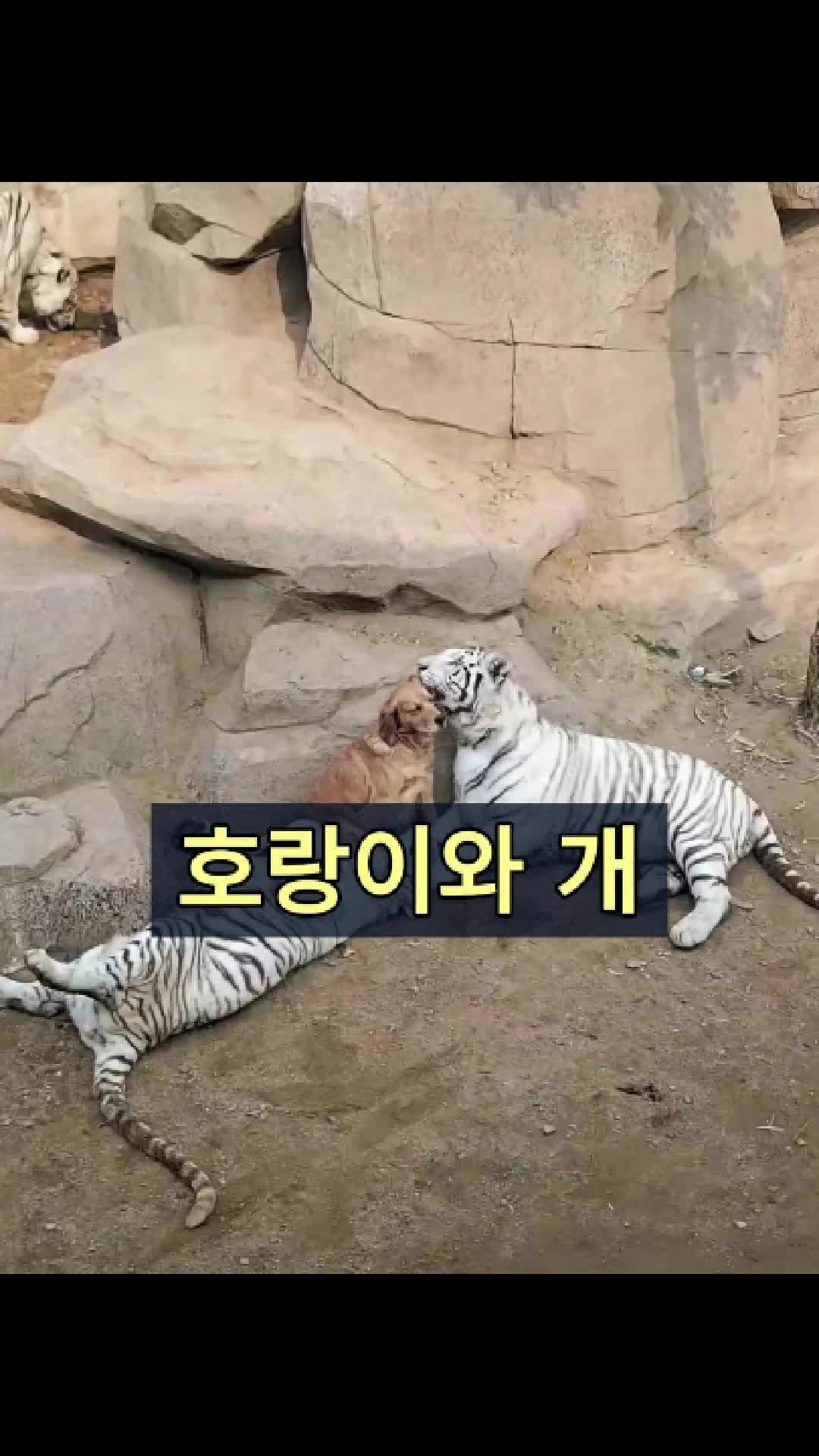 @삼촌Cut2025