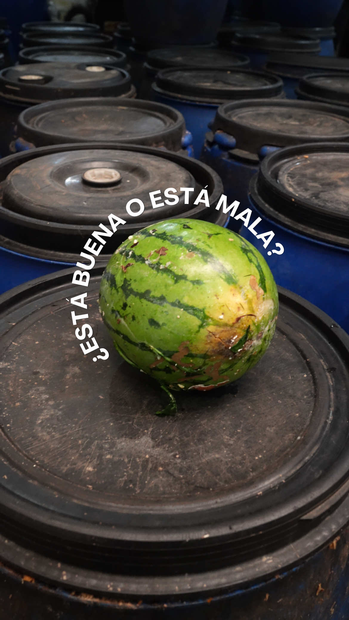 @M&aacute;s Compost