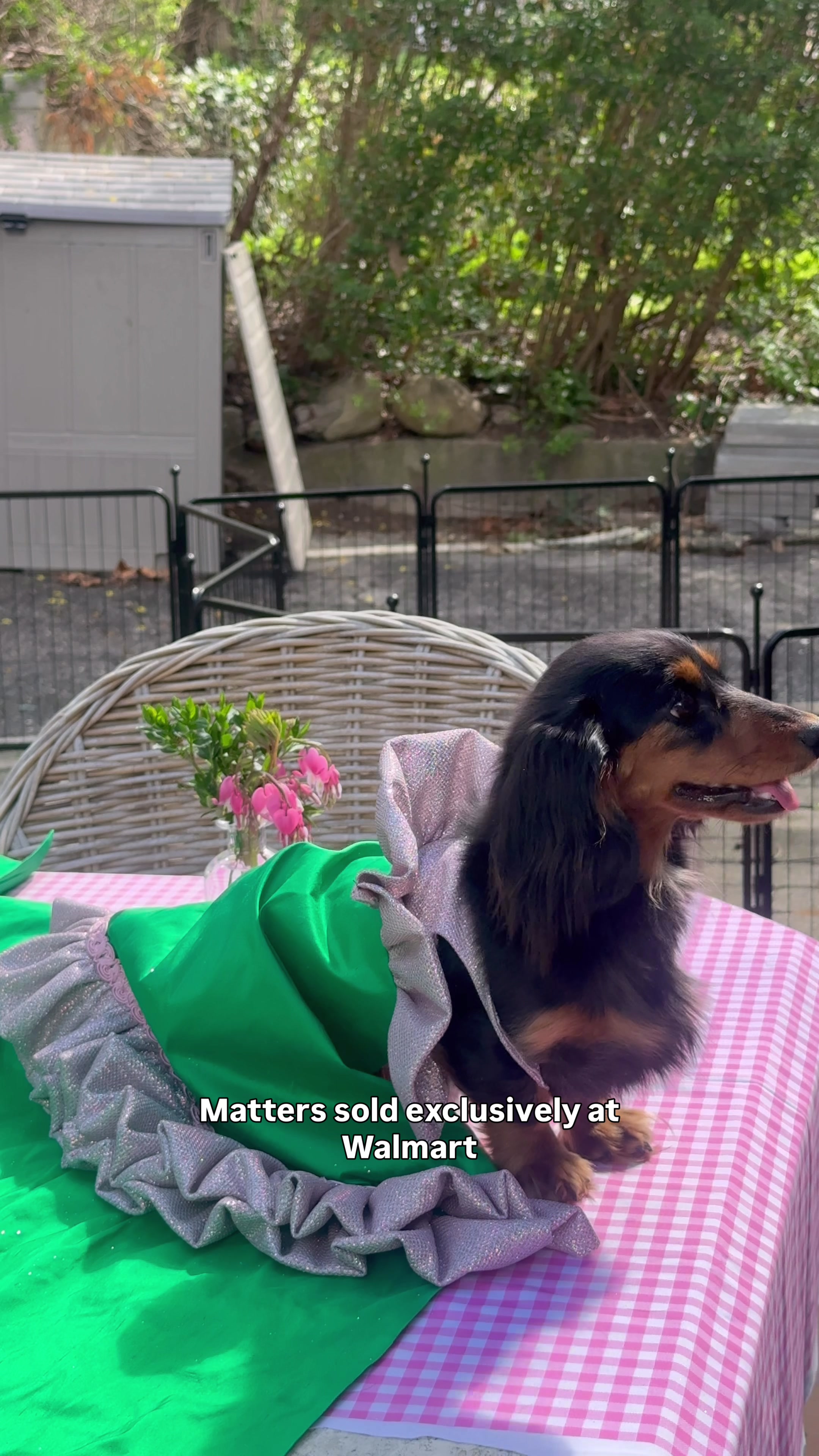 @Gunnar Deatherage