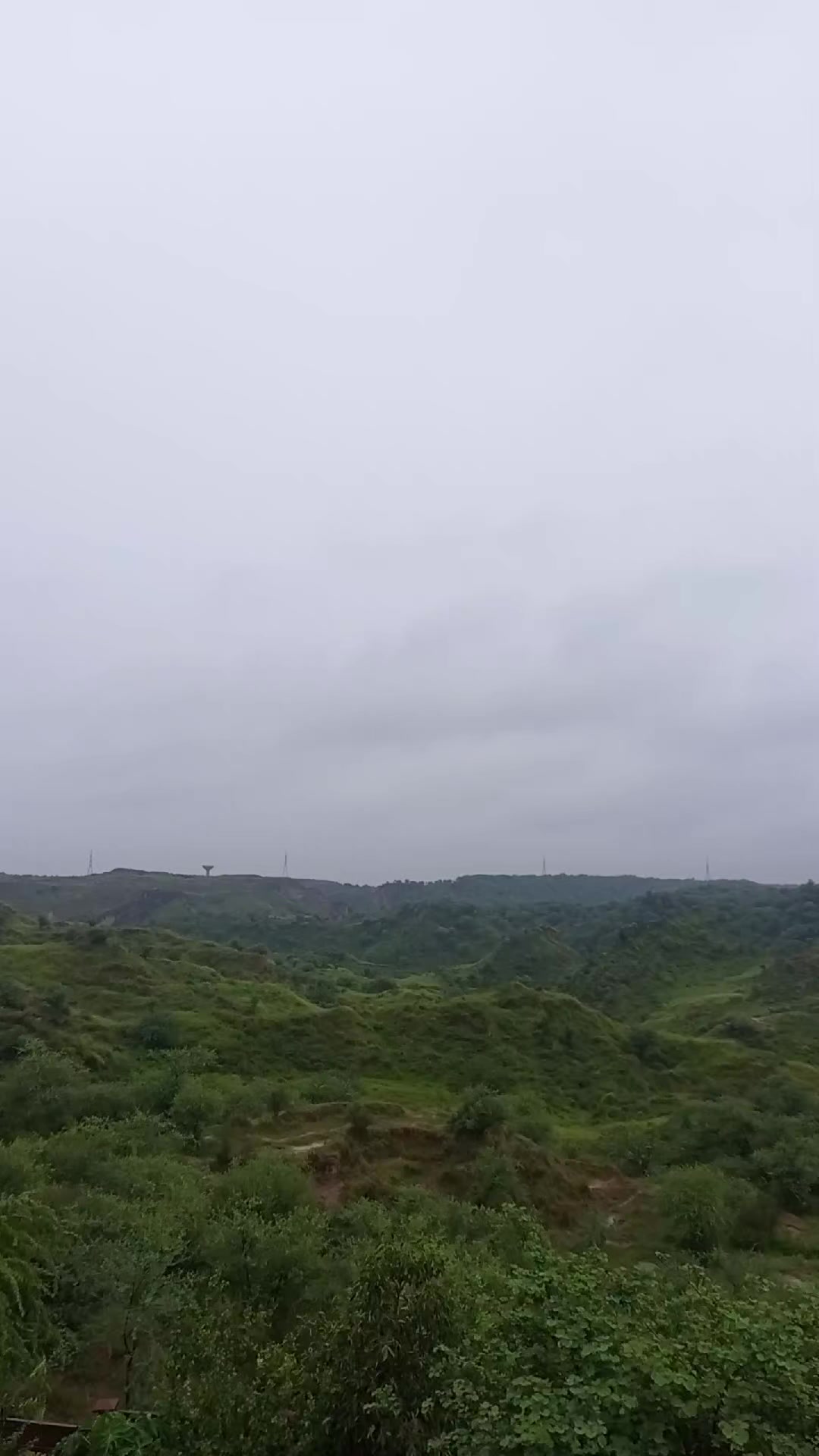 @Tiny Treasure