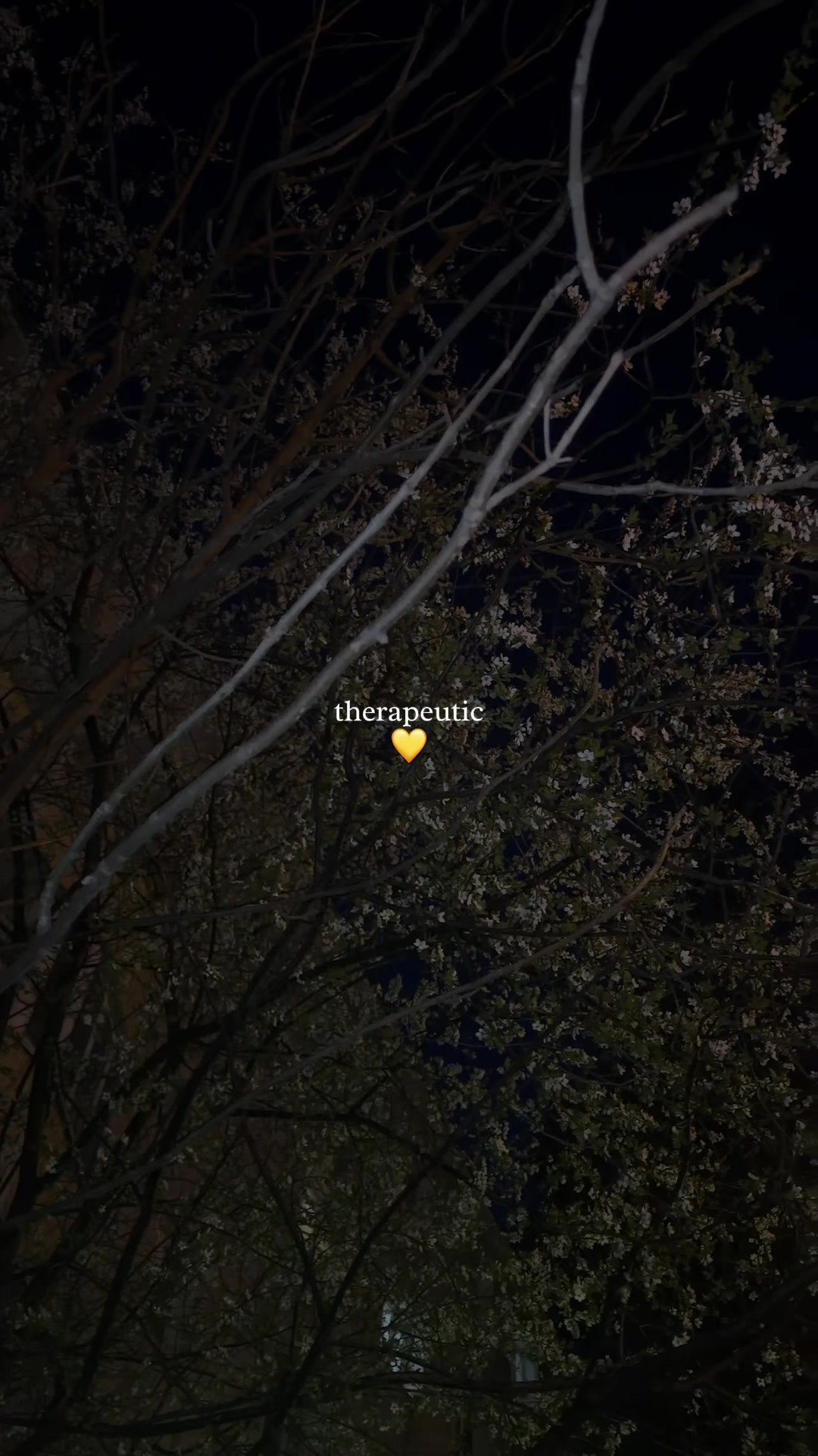 @Лиля 💕
