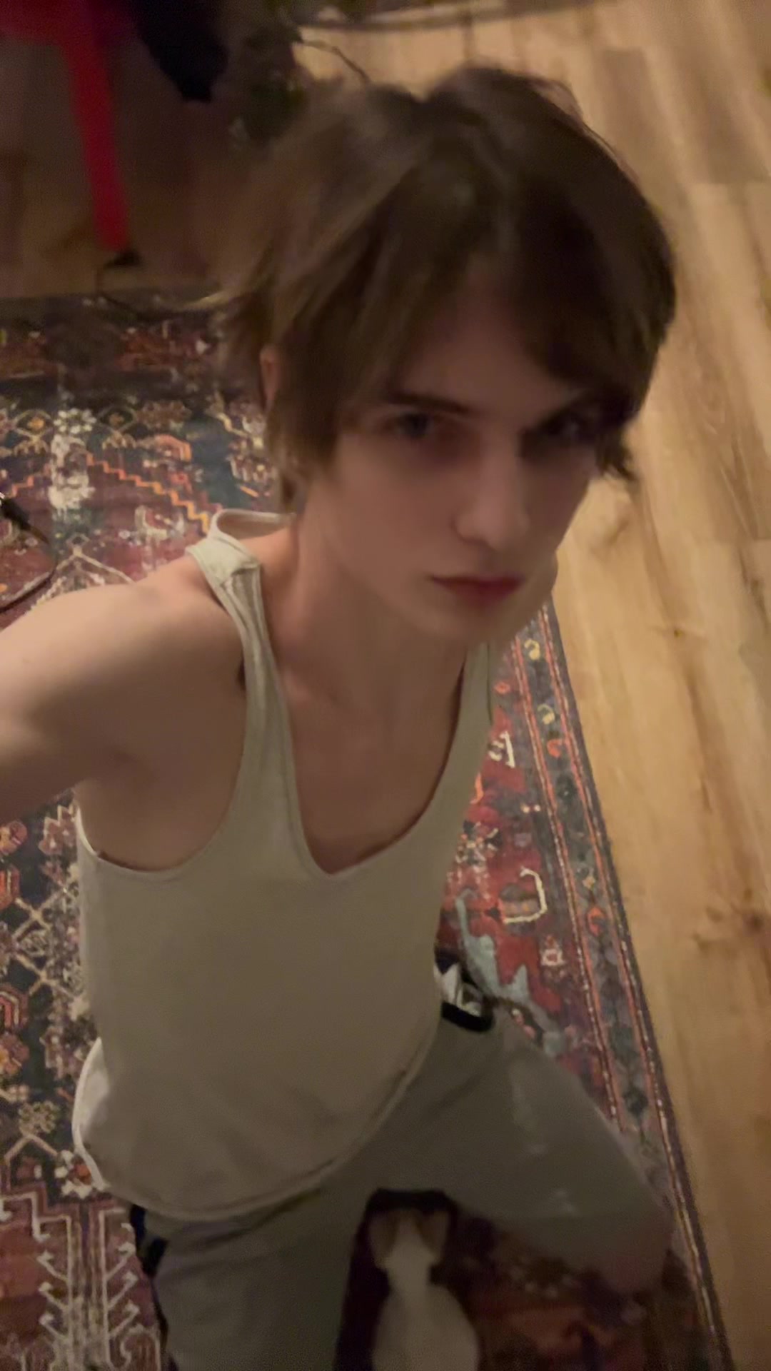 @дигримис