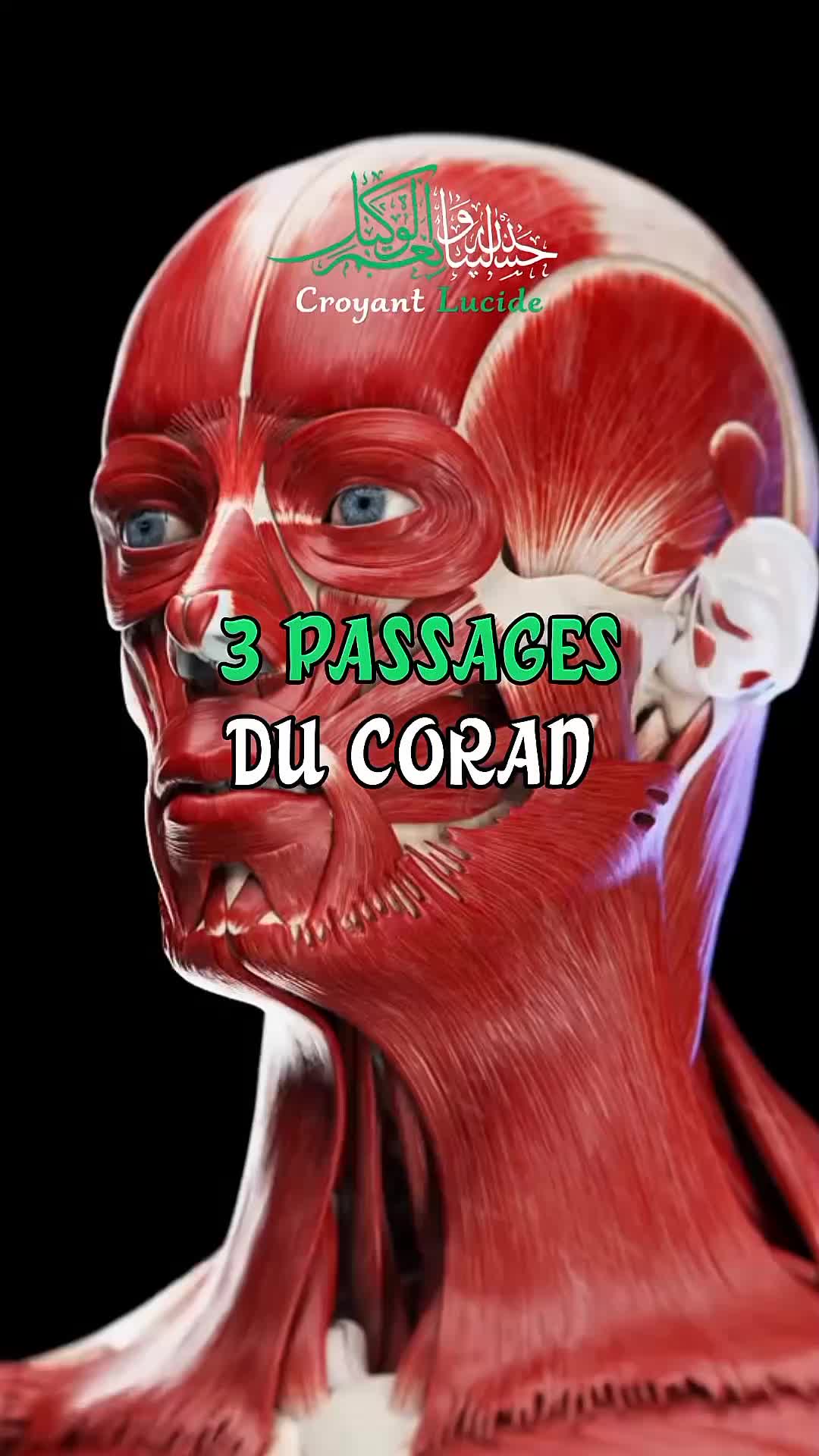 @Croyant Lucide