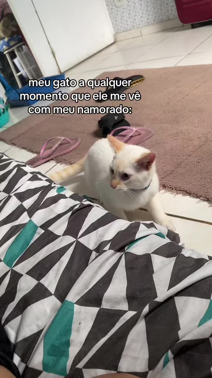 @🥷🏼🇧🇷