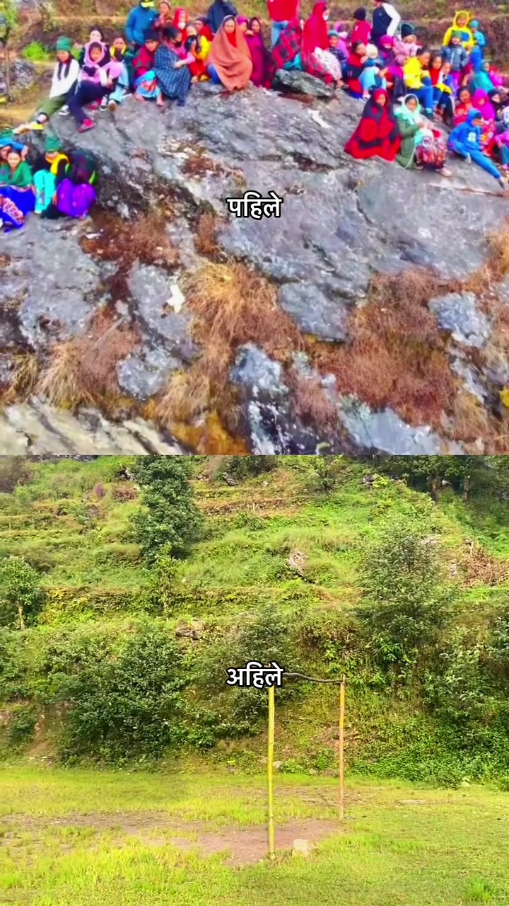 @🕊️