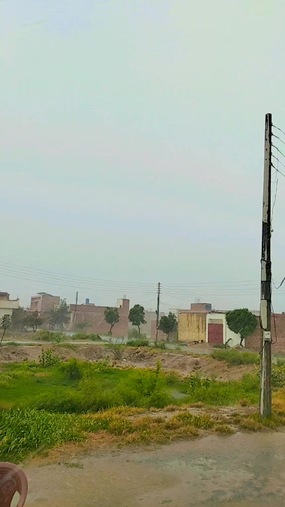 @qasirnaar786
