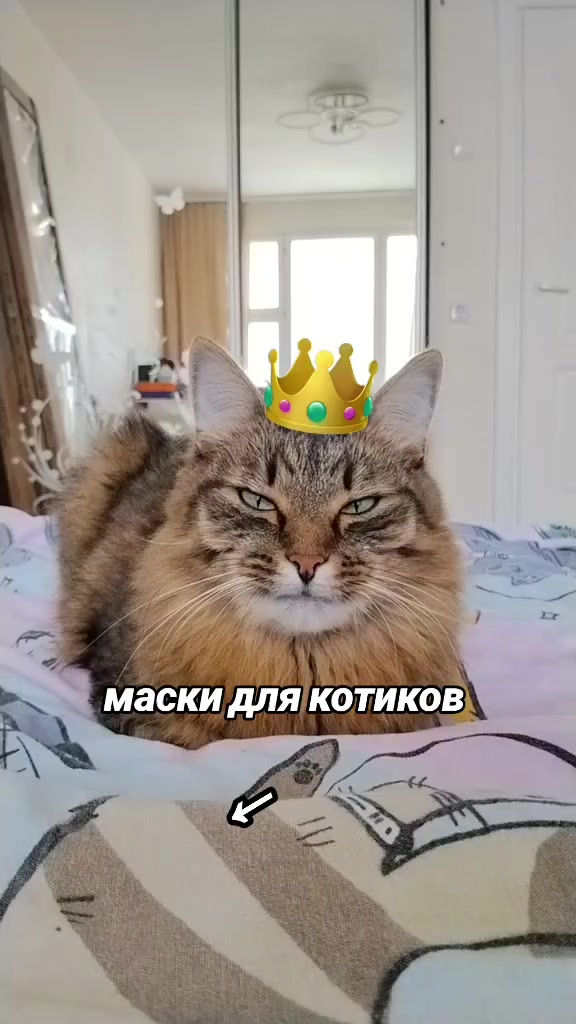 @Марсик😺💖