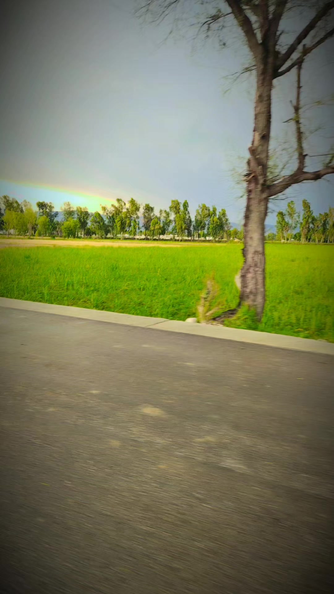 @ᴍʀܔⓐɦɱⓐɗʛυʅ