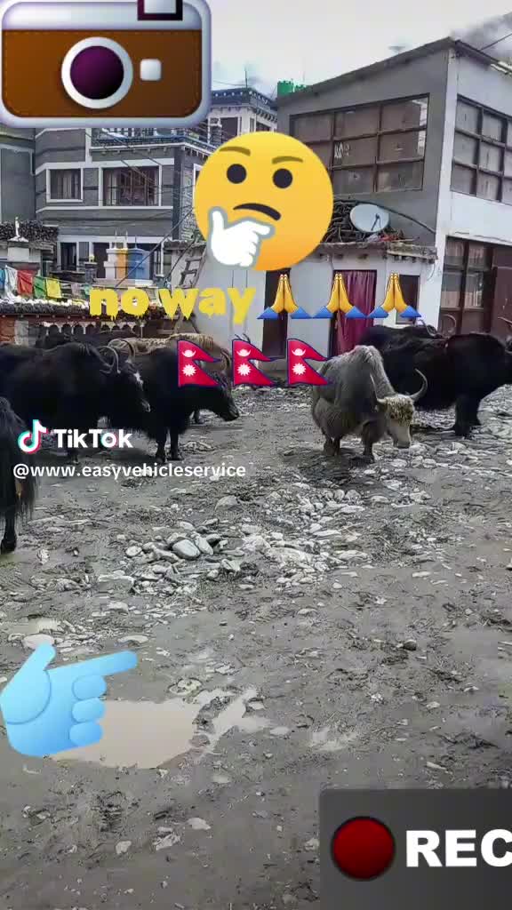 @Malike 😎🥸