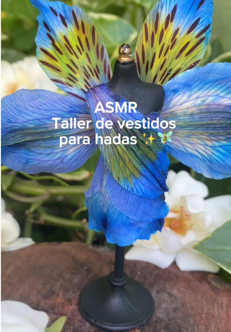 @Mon ASMR