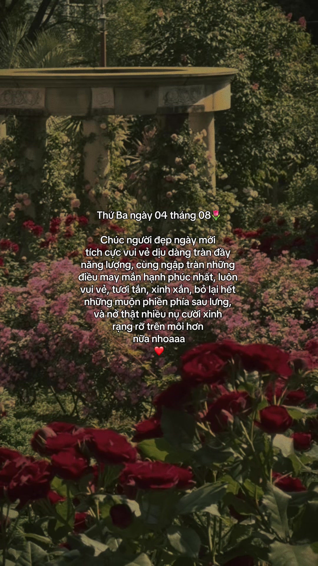 @ᥫᩣѕυy мộт cнúт౨ৎ