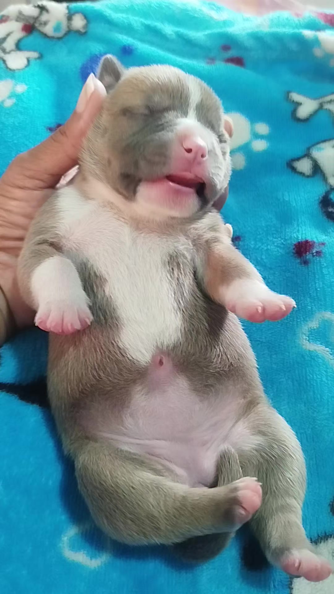 @mia_bulls❤️