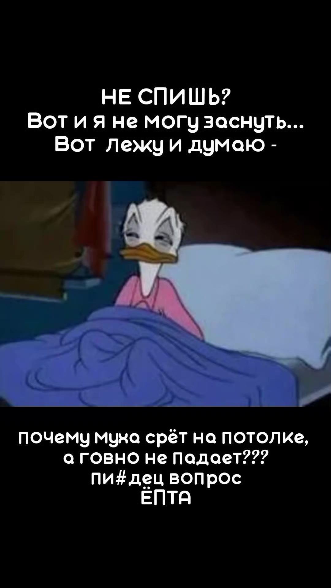@STEFI88