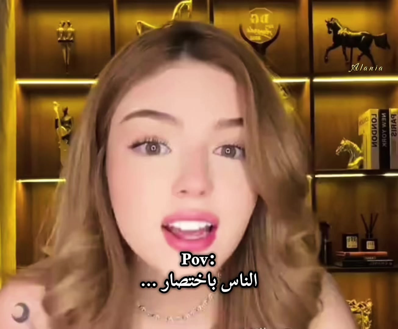 @⚜️ Alania | ألانية⚜️