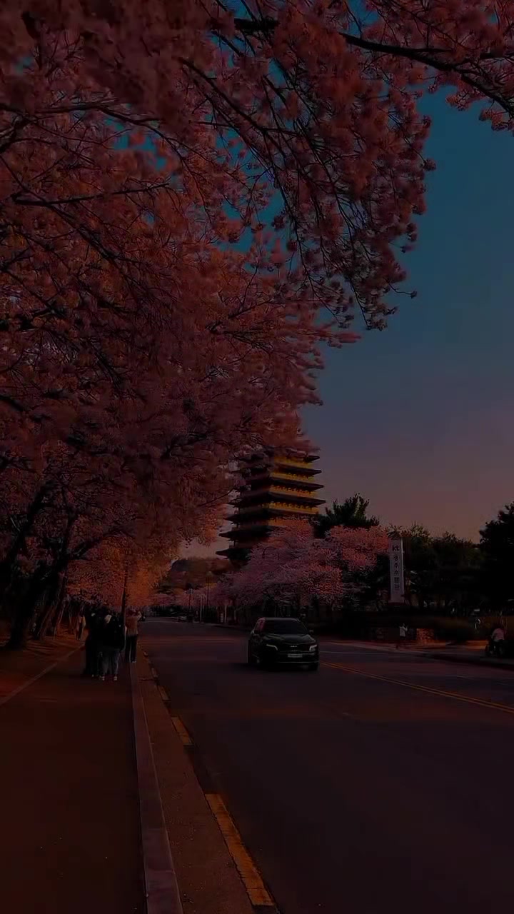@๐๐๐๐๐๐ ๐ฅ๐ฒ๐ซ๐ข๐๐ฌ ๐
