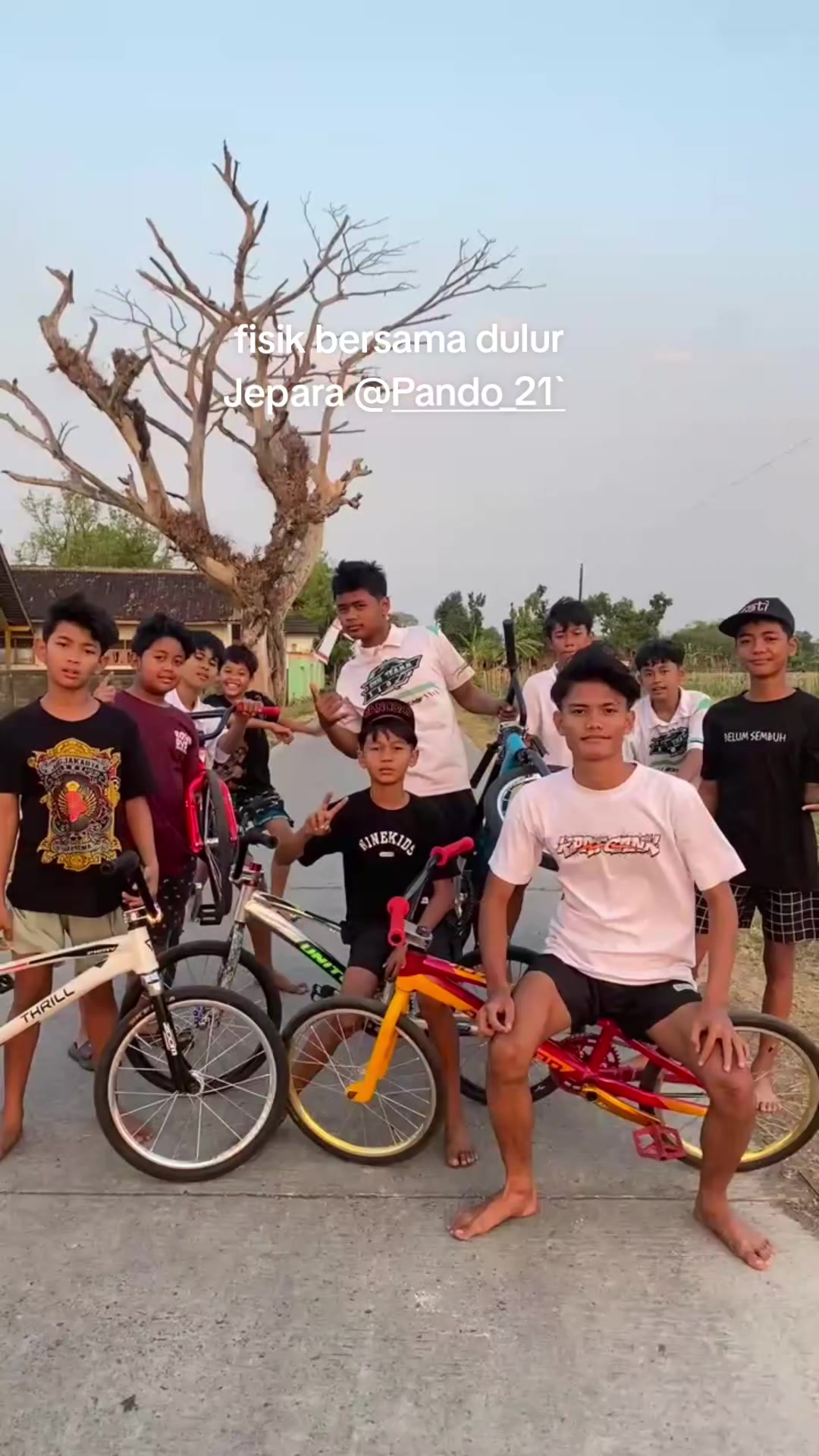 @ALFI TEAM