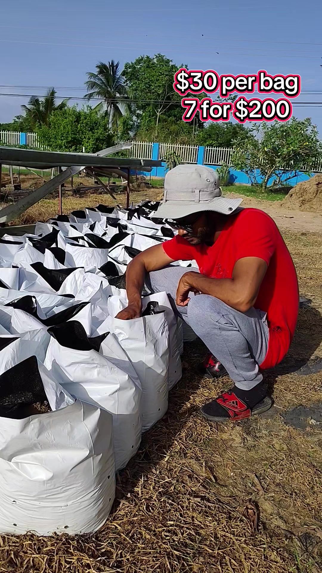 @Trini Farmer Chris 469 7467