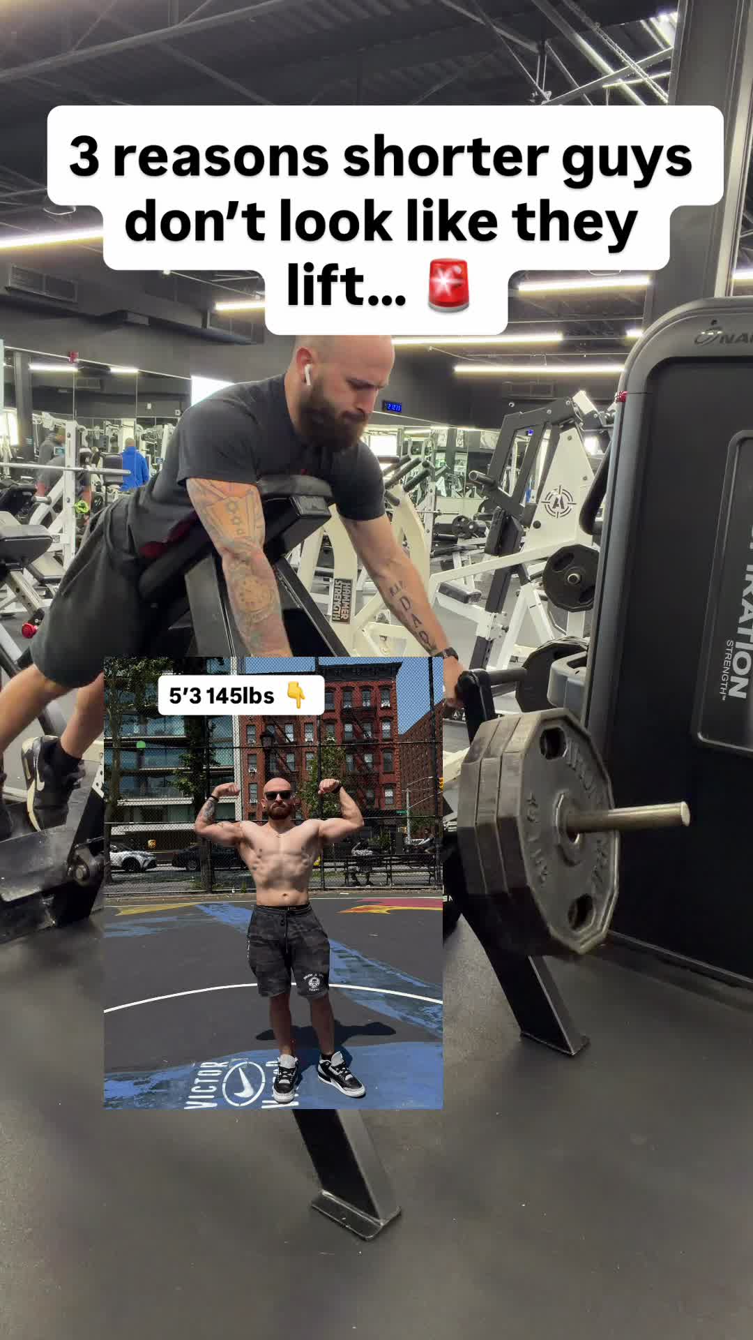 @AwolMuscle