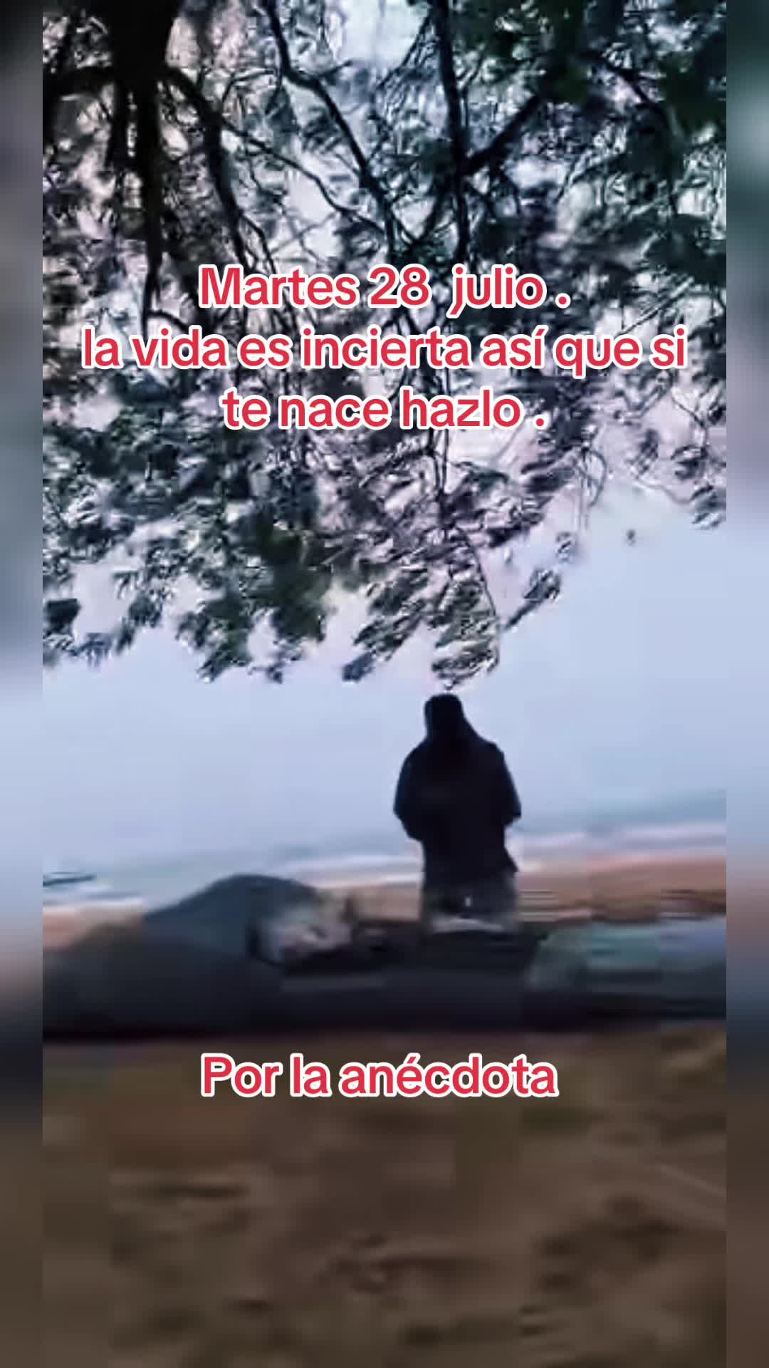 @Rolando Martinez