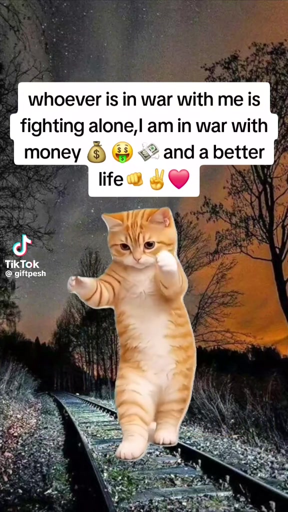 @tripletsmom1