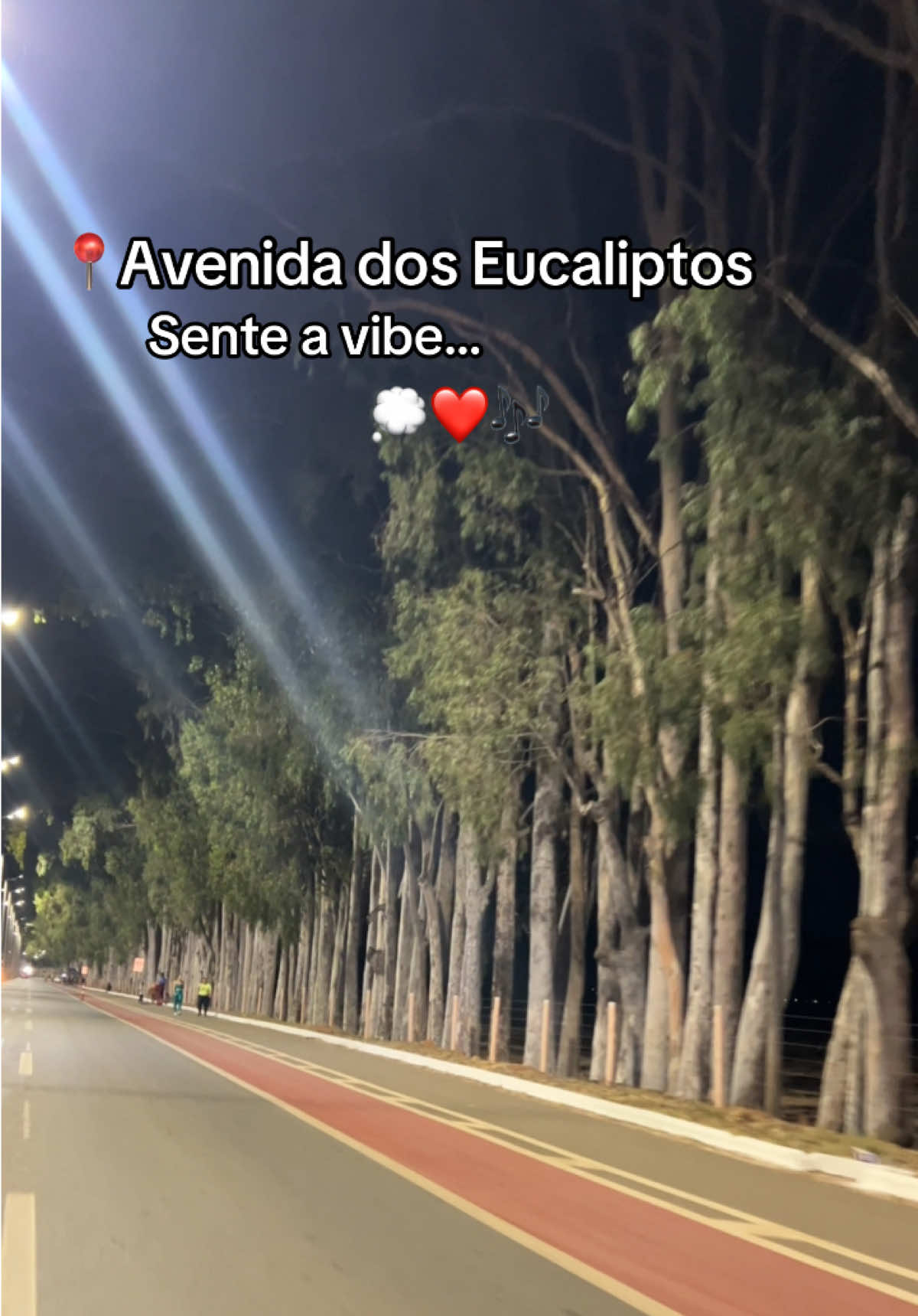 @P.S Assis