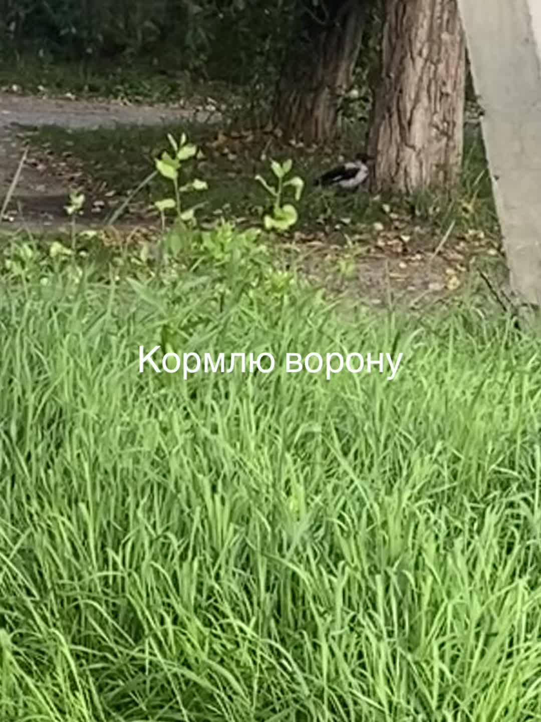 @меланхолия