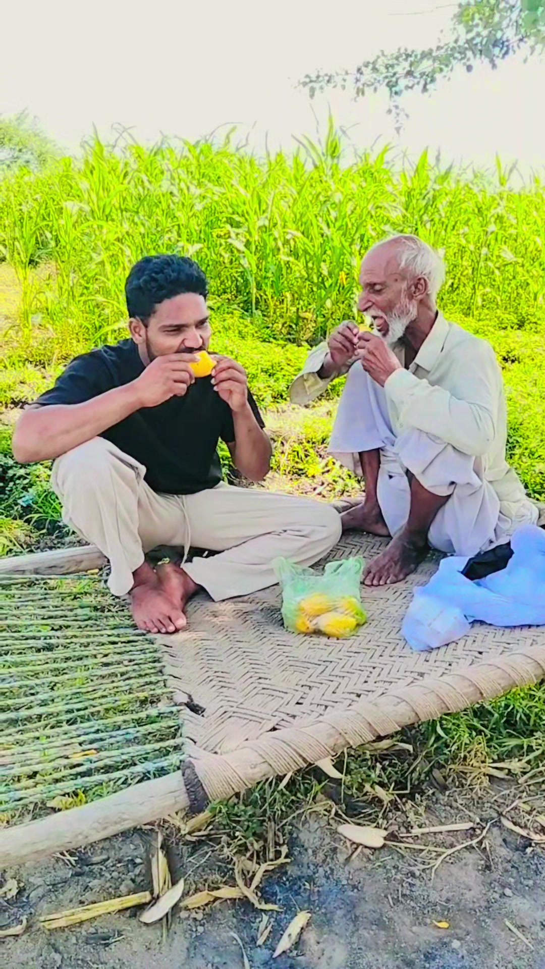 @Mr Chandu Bhai 🦅🤞🦁