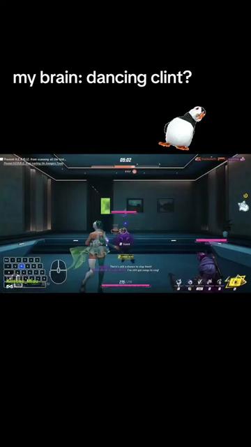 @Koko