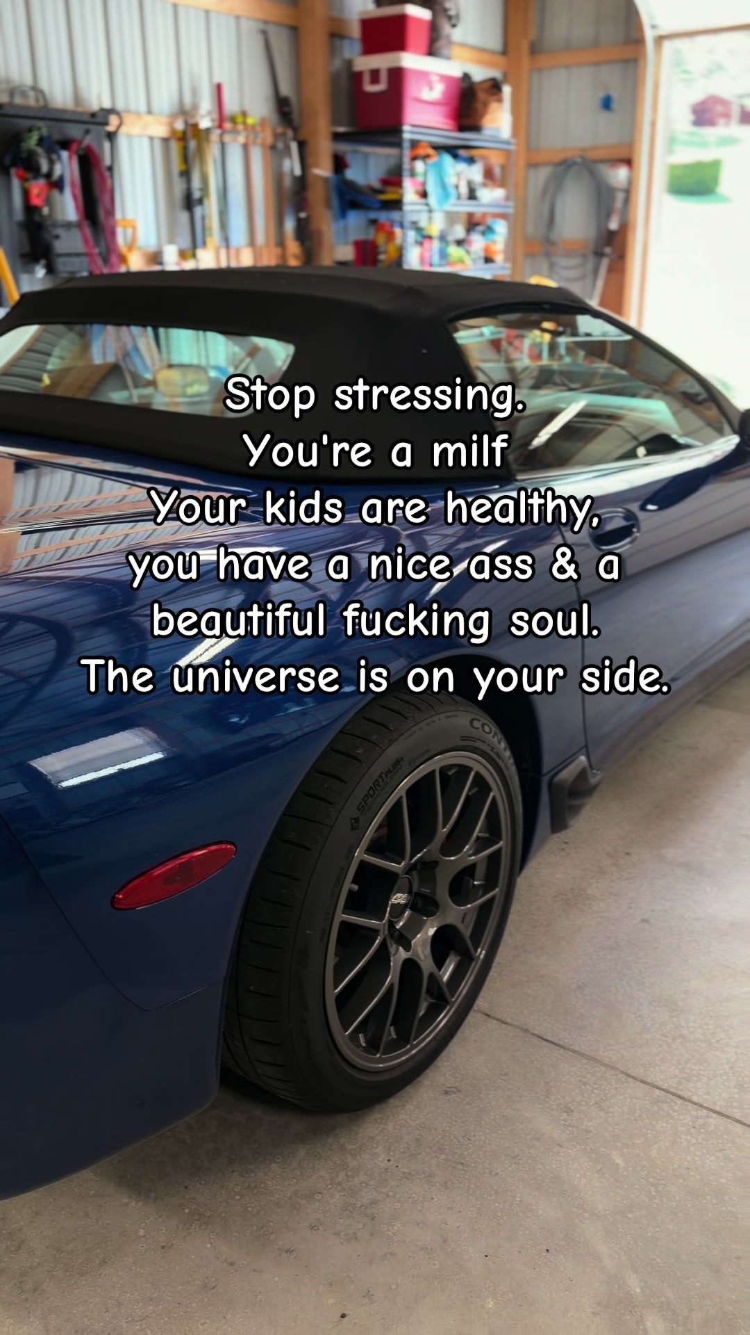 @Dewster