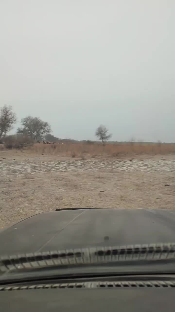 @Бекзат Багдатулы
