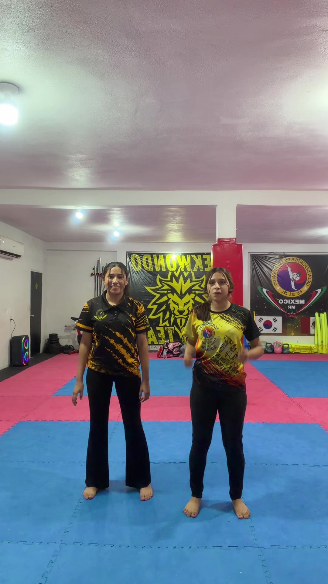@taekwondolionsteam