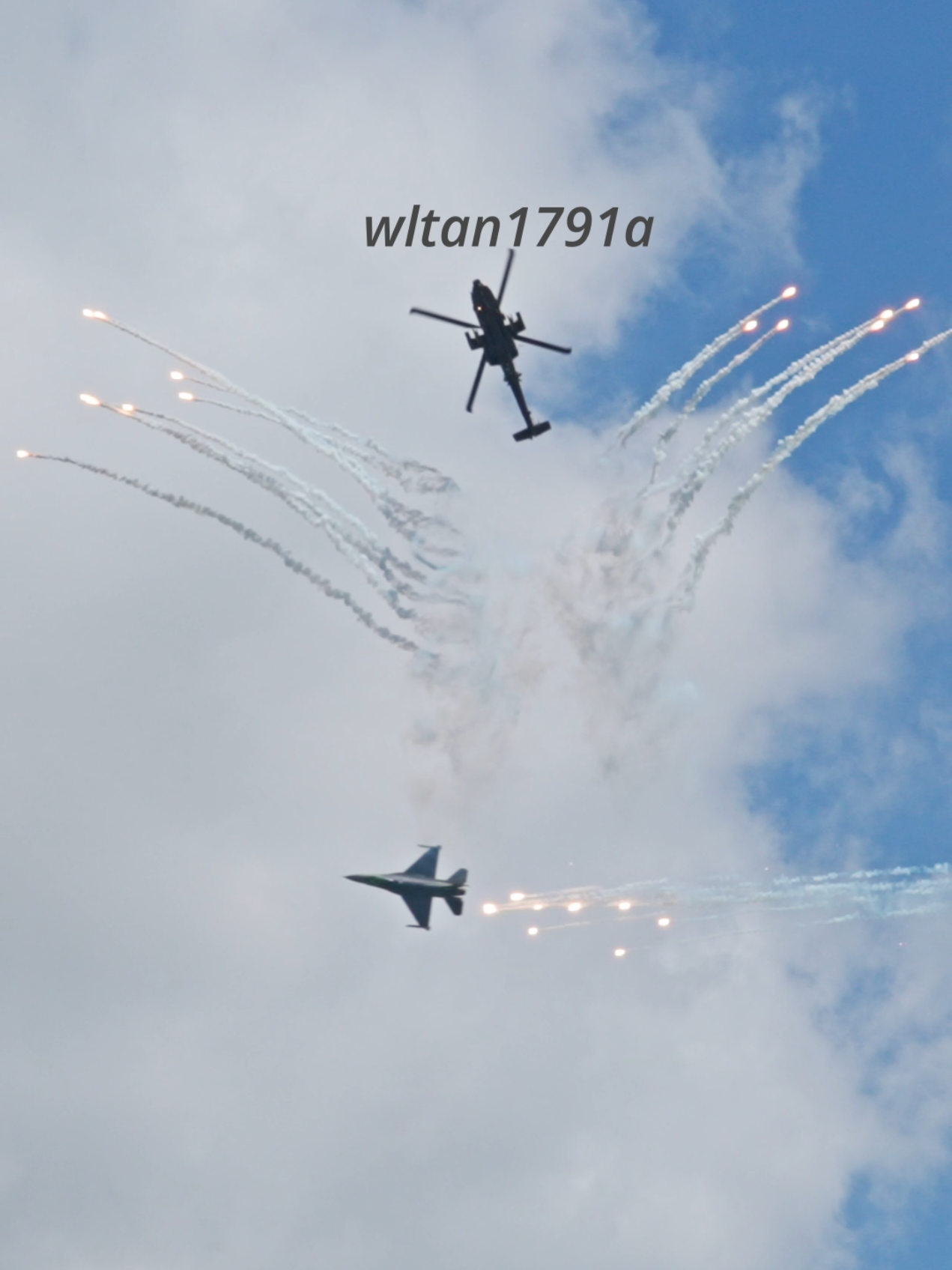 @wltan1791a