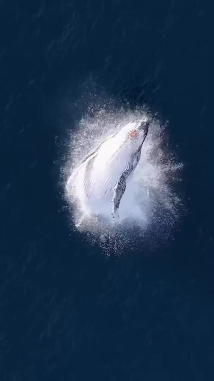 @⚓Șελ Șτλર🌊