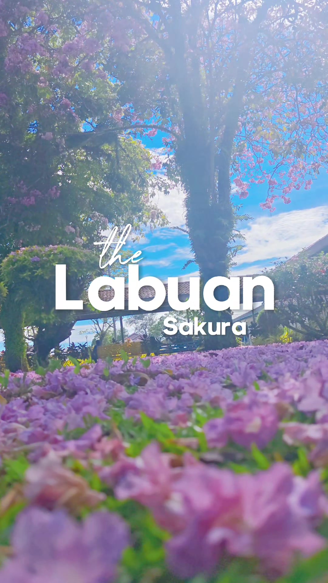 @Pakcik Labuan