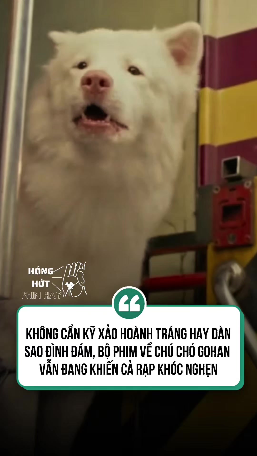 @H&oacute;ng Hớt Phim Hay