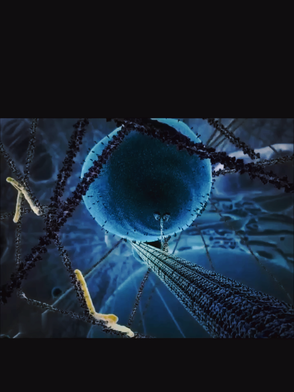@📚🔬Biowithrafa 🧬🧫