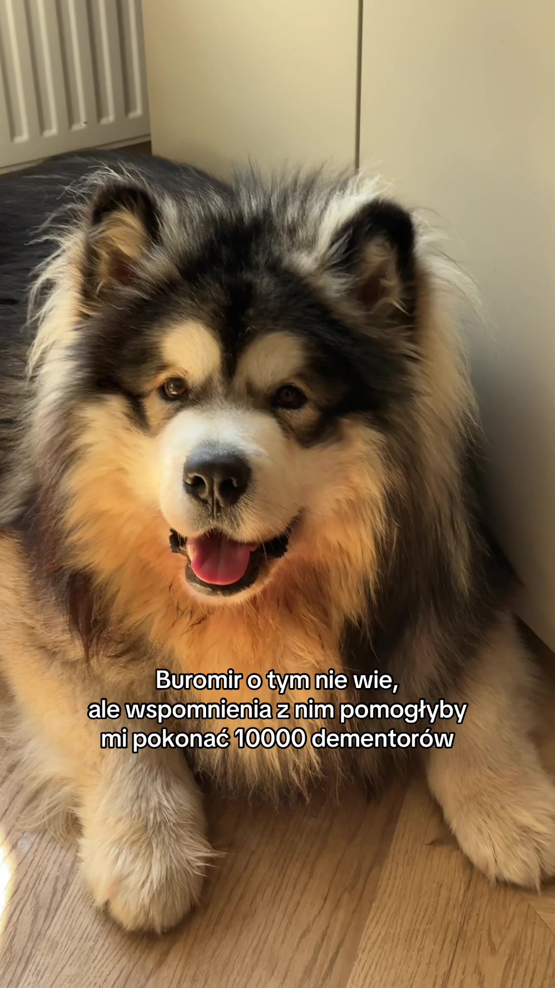 @Rafał Chobot